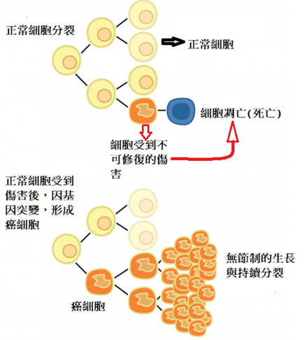 癌細胞.png